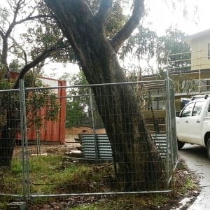 Tree Protection | AIM Hire